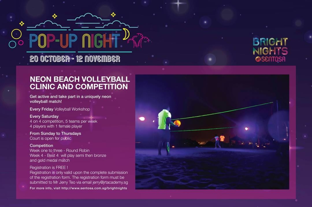 Neon Beach Volleyball (4)
